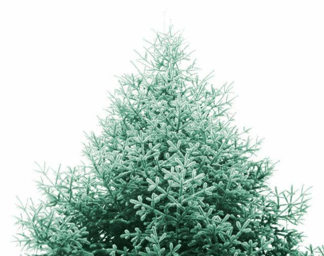 unsplash.com/Nika Akin