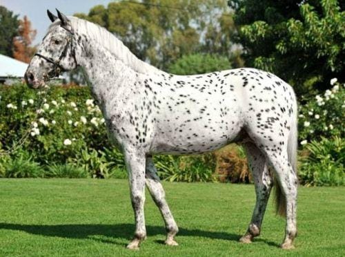 tumblr.com/ ainawgsd