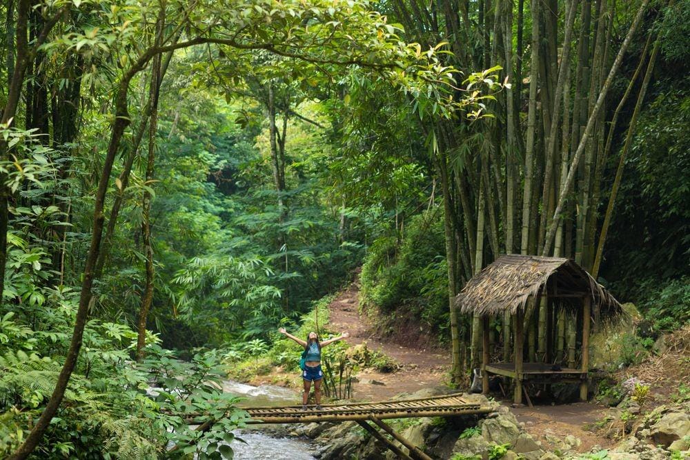 Shutterstock.com/Stephane Bidouze