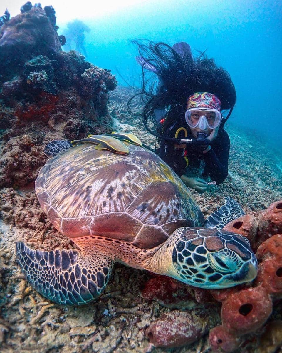 instagram.com/satyawinnie