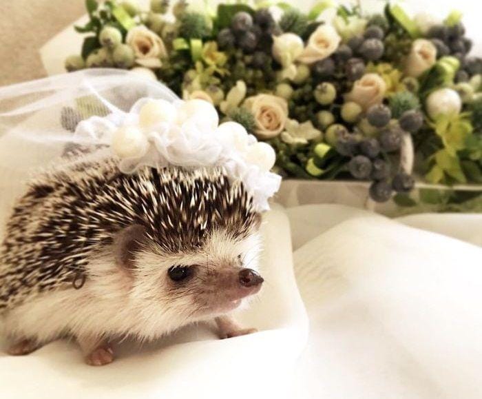 Instagram.com/tomtom1486