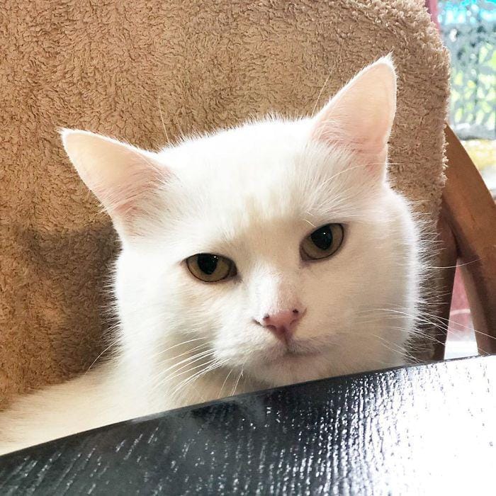 instagram.com/smudge_lord