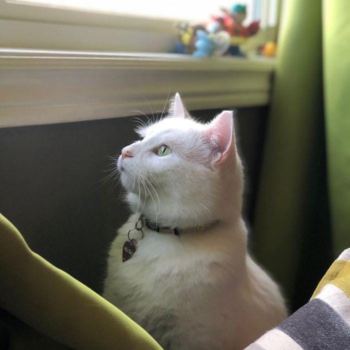 instagram.com/smudge_lord