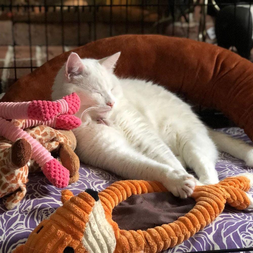 instagram.com/smudge_lord