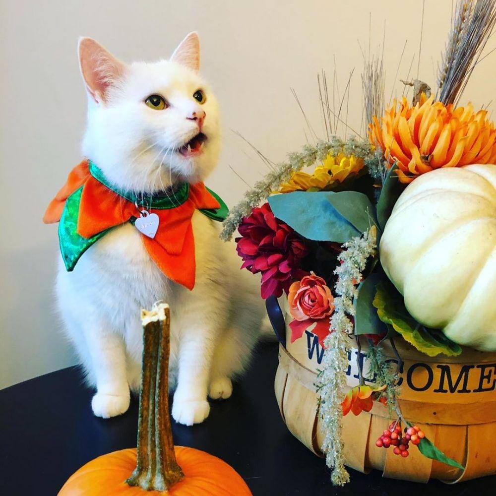 instagram.com/smudge_lord