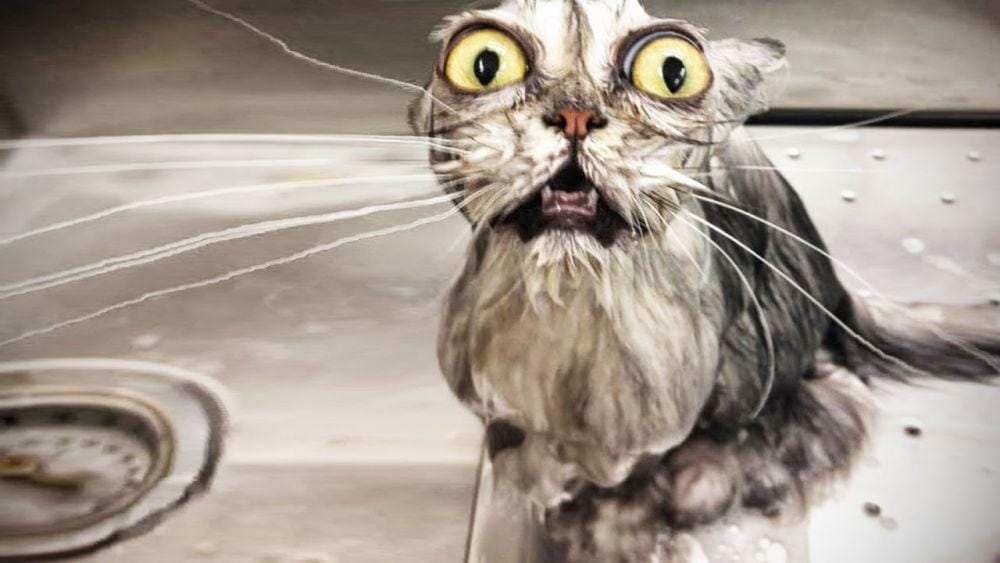 Youtube.com/Epic Laugh