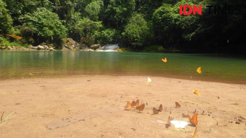 IDN Times/Aan Pranata