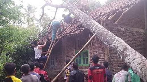 Angin kencang menyebabkan pohon tumbang dan menimpa rumah di Desa Karangjoho, Kecamatan Pengadegan, Minggu (8/12). Dok IDN Times