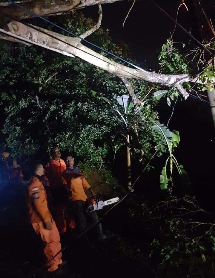 Angin kencang menyebabkan pohon tumbang dan menimpa rumah di Desa Karangjoho, Kecamatan Pengadegan, Minggu (8/12). BPBD Purbalingga