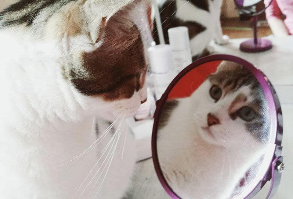 instagram.com/fanny_lmudf