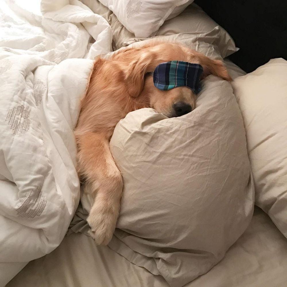 instagram.com/kono_in_orlando