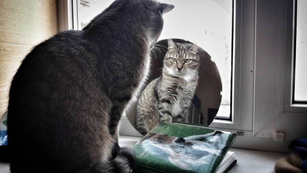 instagram.com/a_furzikova