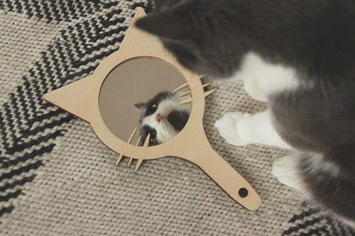 instagram.com/sunnymoredesign