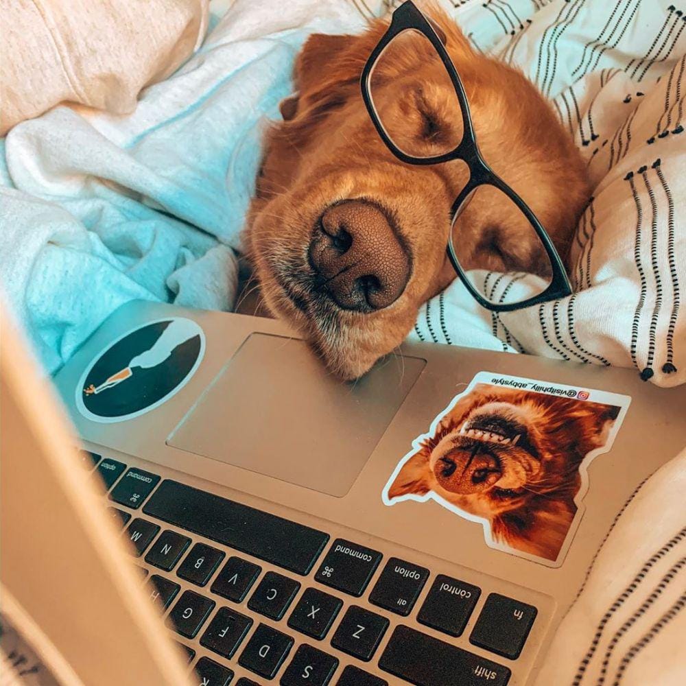 instagram.com/visitphilly_abbystyle