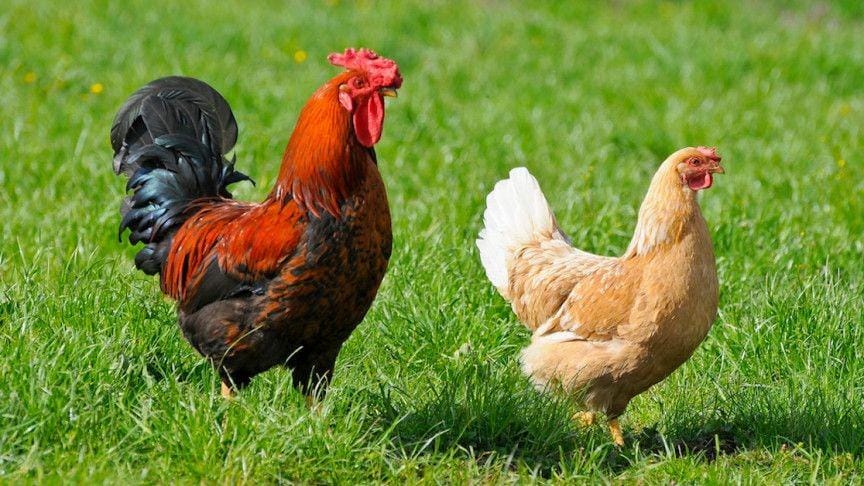 interestingengineering.com