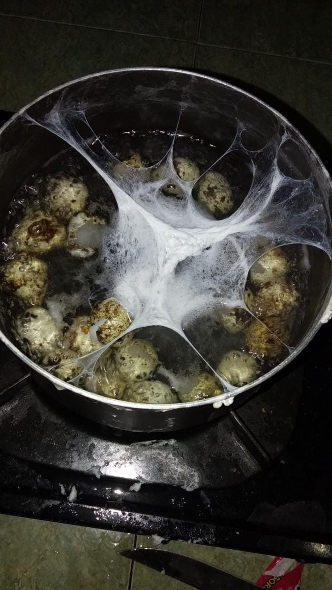 twitter.com/FOODFESS2