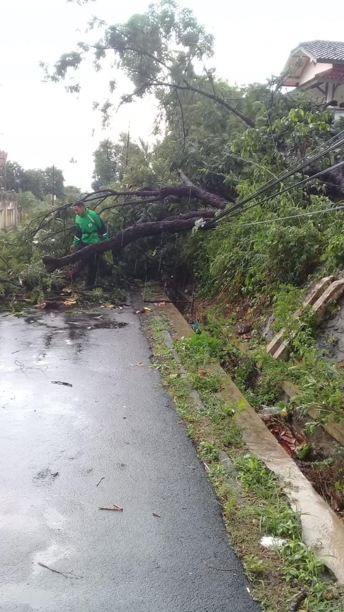Pohon tumbang melintang di jalan kampung di Ungaran. Dok SAR Jateng