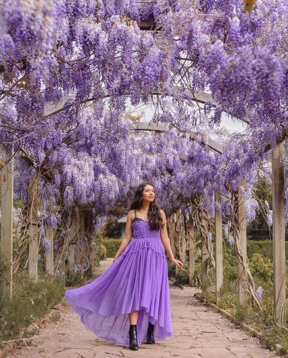 Instagram.com/anoushkalila