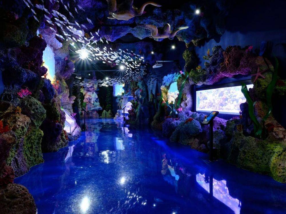 instagram.com/jakartaaquarium