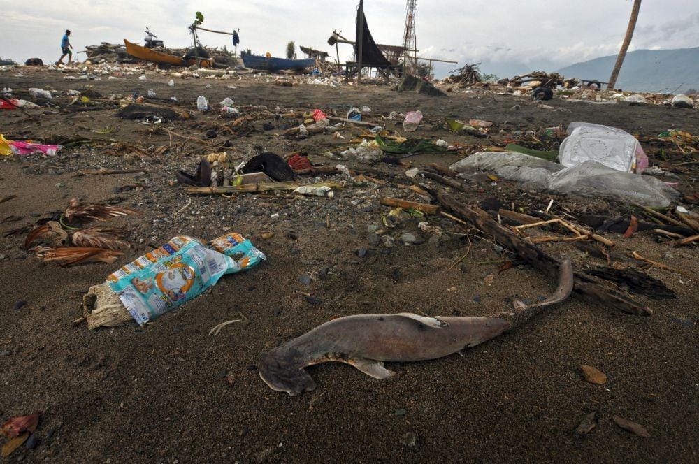 Sampah Plastik Cemari Laut di Palu, Sulawesi Tengah
