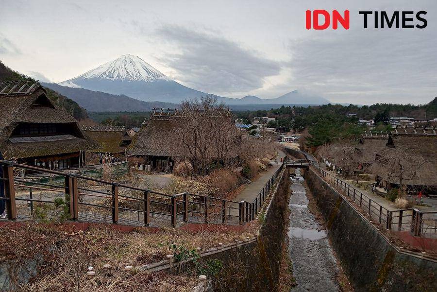 Hamparan Gunung Fuji dari Iyashi no Sato Nemba. 7 Desember 2019. IDN Times/Febriyanti Revitasari