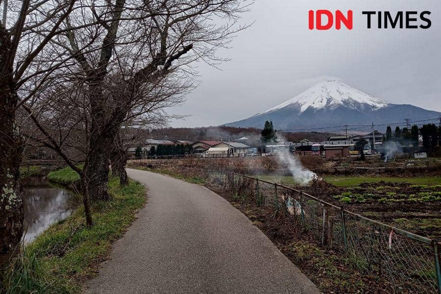 Hamparan Gunung Fuji dari Oshino Hakkai. 7 Desember 2019. IDN Times/Febriyanti Revitasari