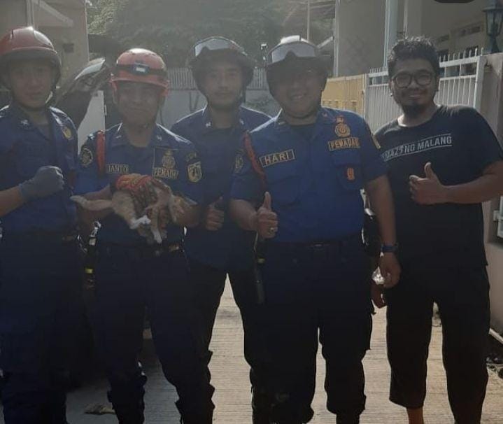 Petugas pemadam kebakaran Jakarta Selatan. un menyelamatkan seekor anak kucing berwarna orange yang terjepit di dalam kap mobil Rabu (11/12) / instagram @damkar_jagakarsa.