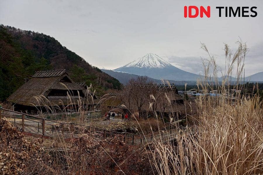 Hamparan Gunung Fuji dari Iyashi no Sato Nemba. 7 Desember 2019. IDN Times/Febriyanti Revitasari