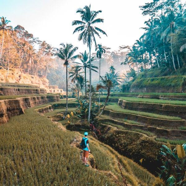 Unsplash.com/JamieFenn