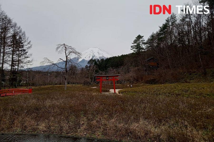 Hamparan Gunung Fuji dari Oshino Shinobi No Sato. 7 Desember 2019. IDN Times/Febriyanti Revitasari