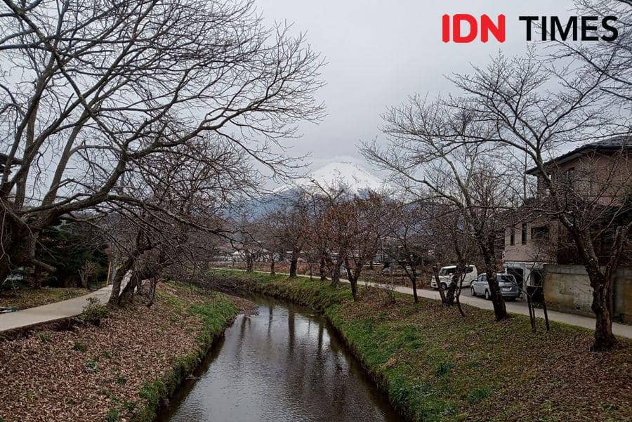 Hamparan Gunung Fuji dari Oshino Hakkai. 7 Desember 2019. IDN Times/Febriyanti Revitasari