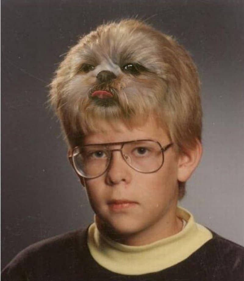 lolwot.com