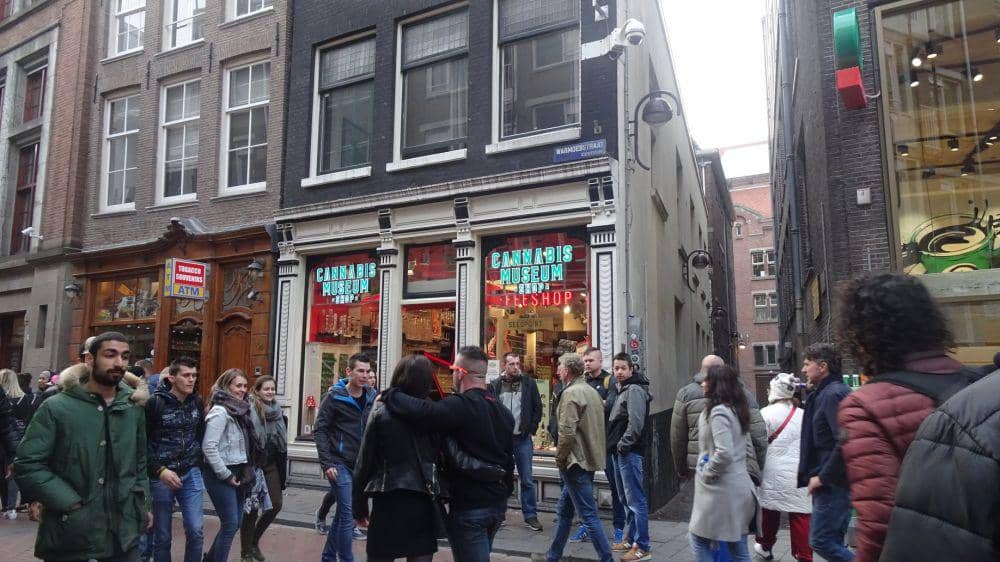 Dok. Pribadi/Anne Yaa