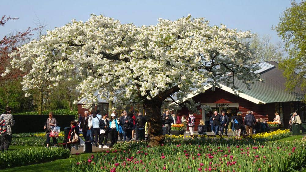 Dok. Pribadi/Anne Yaa