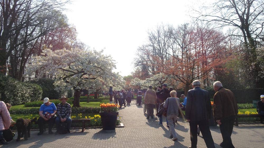 Dok. Pribadi/Anne Yaa