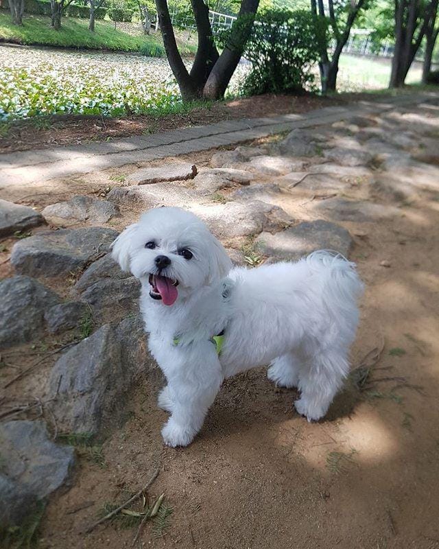 twitter.com/SupportRV