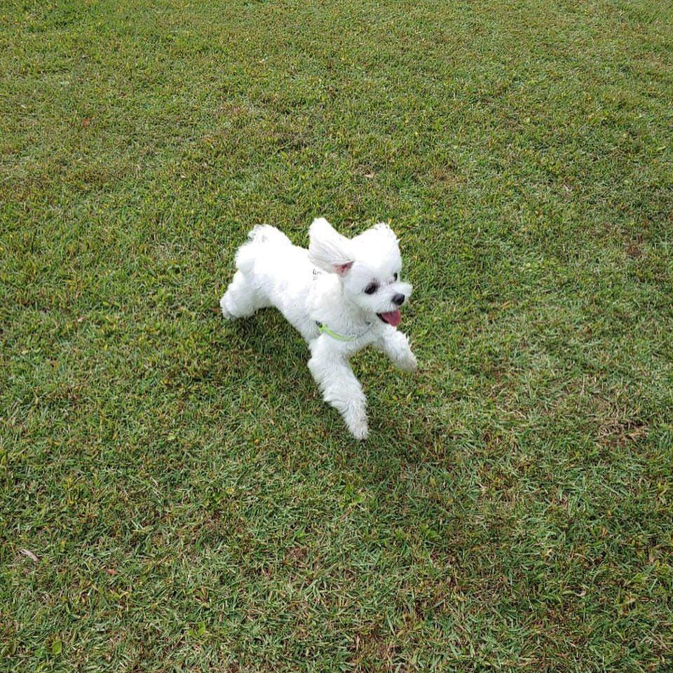 twitter.com/touslesjoyous