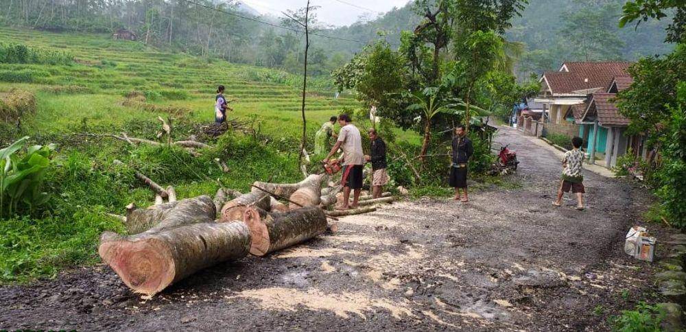 Seorang petani tewas tertimpa pohon yang tumbang diterjang angin kencang, Rabu (11/12). BPBD Purbalingga