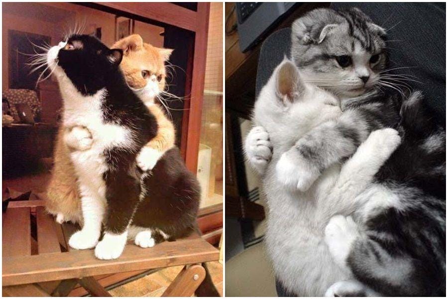 Justpost.com & Twitter.com/Joelrama