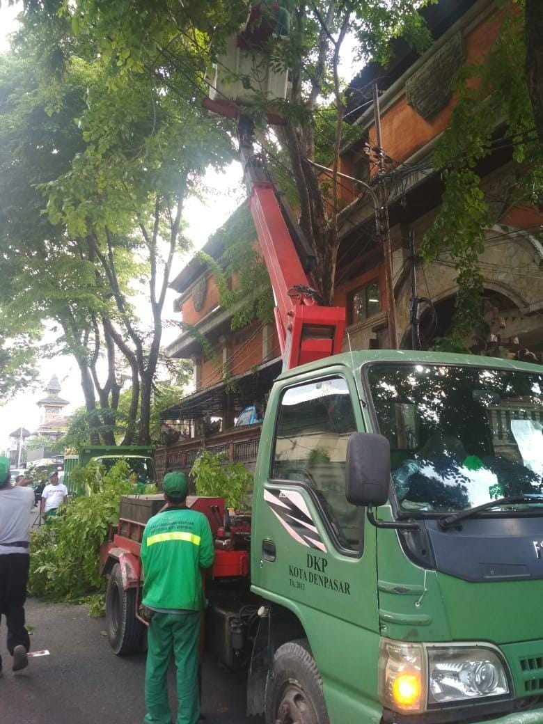 Dok.IDN Times/Istimewa