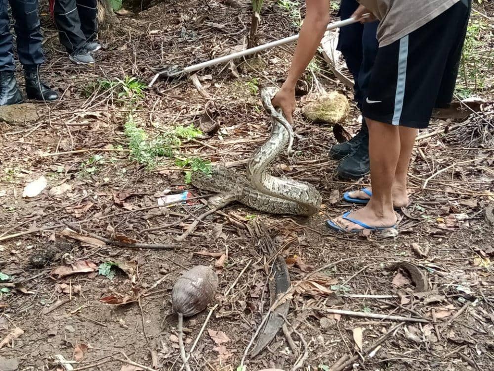 Dok. Istimewa/Humas Damkar Maros