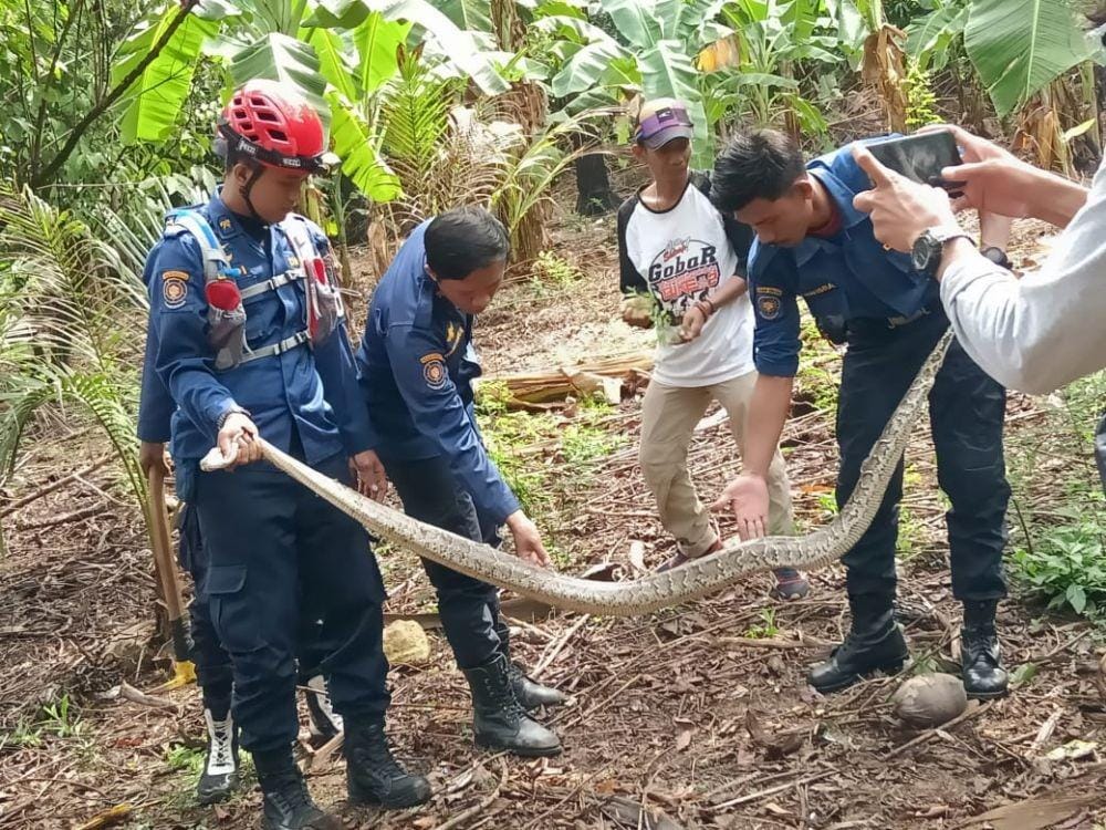 Dok. Istimewa/Humas Damkar Maros