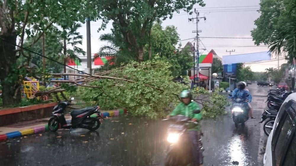 Pohon tumbang setelah diterjang hujan deras yang disertai angin kencang di kawasan Alun-Alun Kota Madiun.Dok.IDN Times/Istimewa