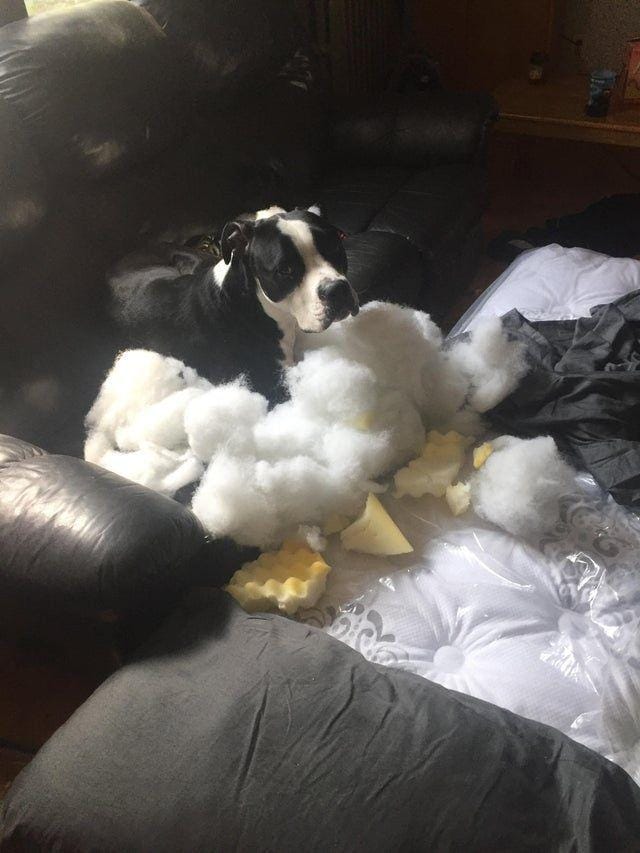 Reddit/mrnachofingers