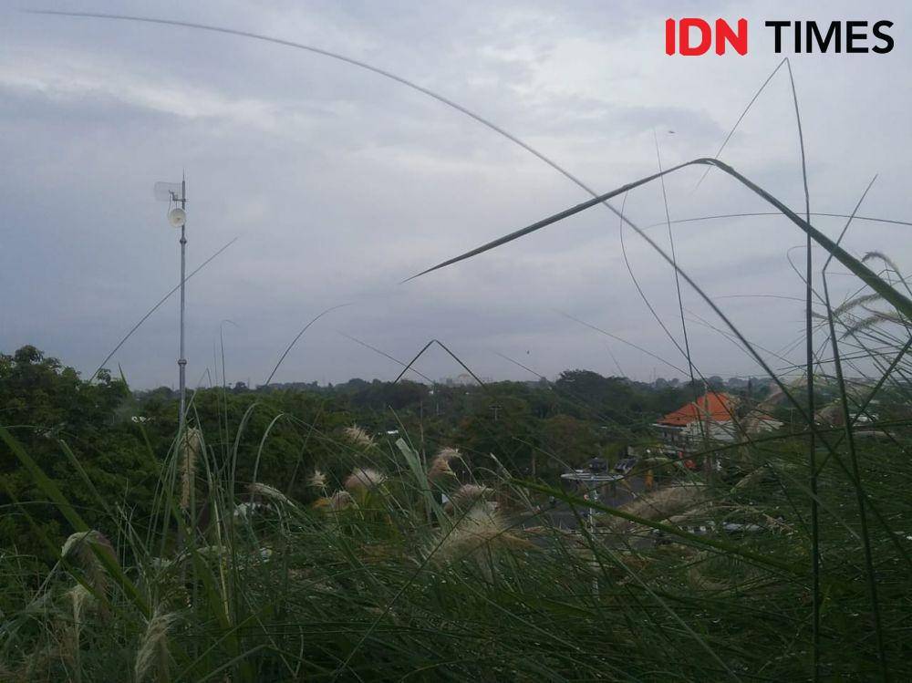 IDN Times/Irma Yudistirani