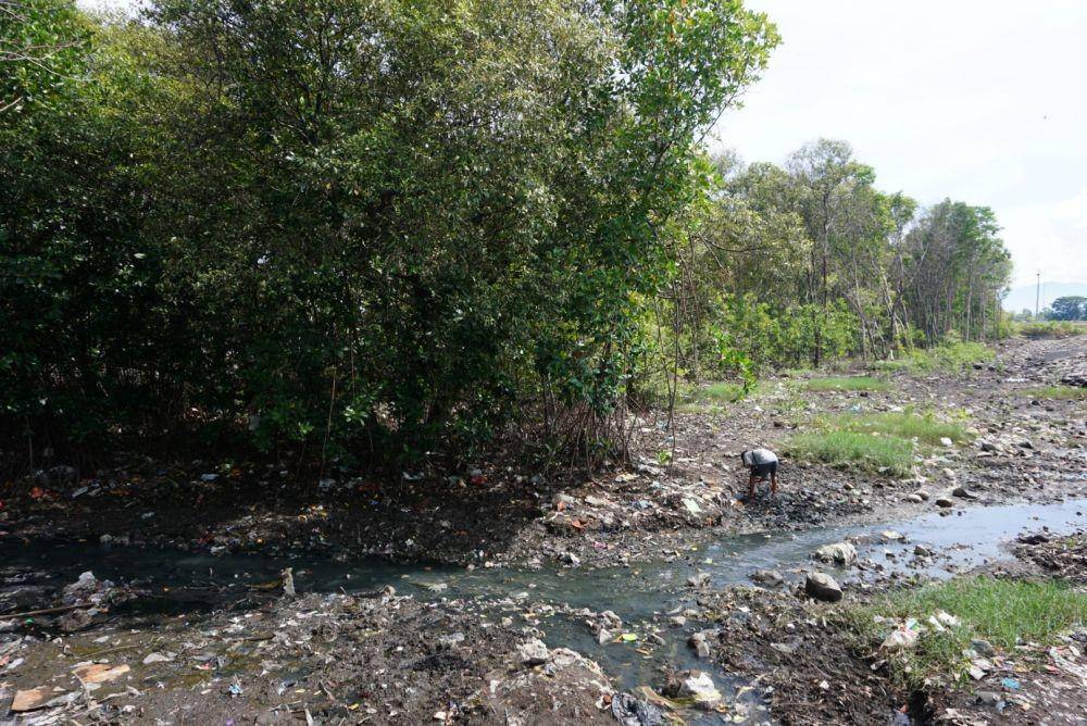 Kawasan mangrove yang rencana ditebang dan dilakukan normalisasi muara sungai Kalilo. IDN Times/Mohamad Ulil Albab