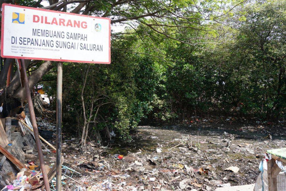 Kawasan mangrove yang bakal ditebang dan normalisasi sedimentasi. IDN Times/Mohamad Ulil Albab