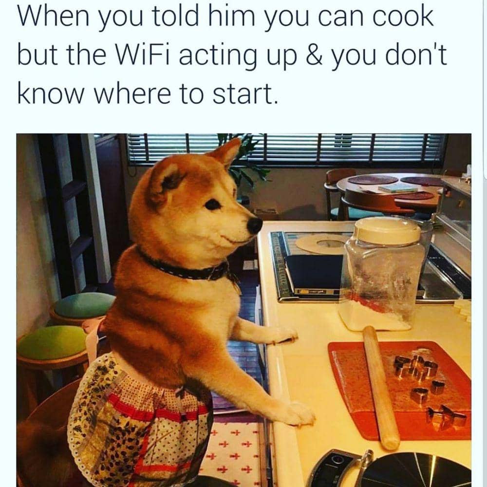 instagram.com/favibacardi