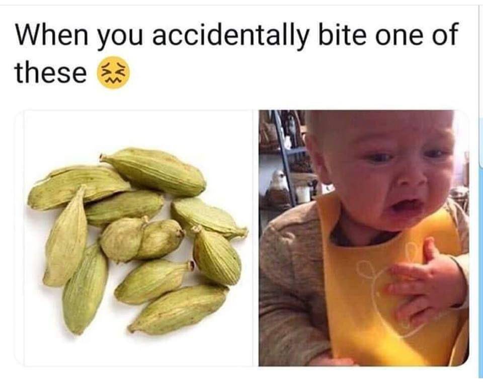 instagram.com/beingjalebi