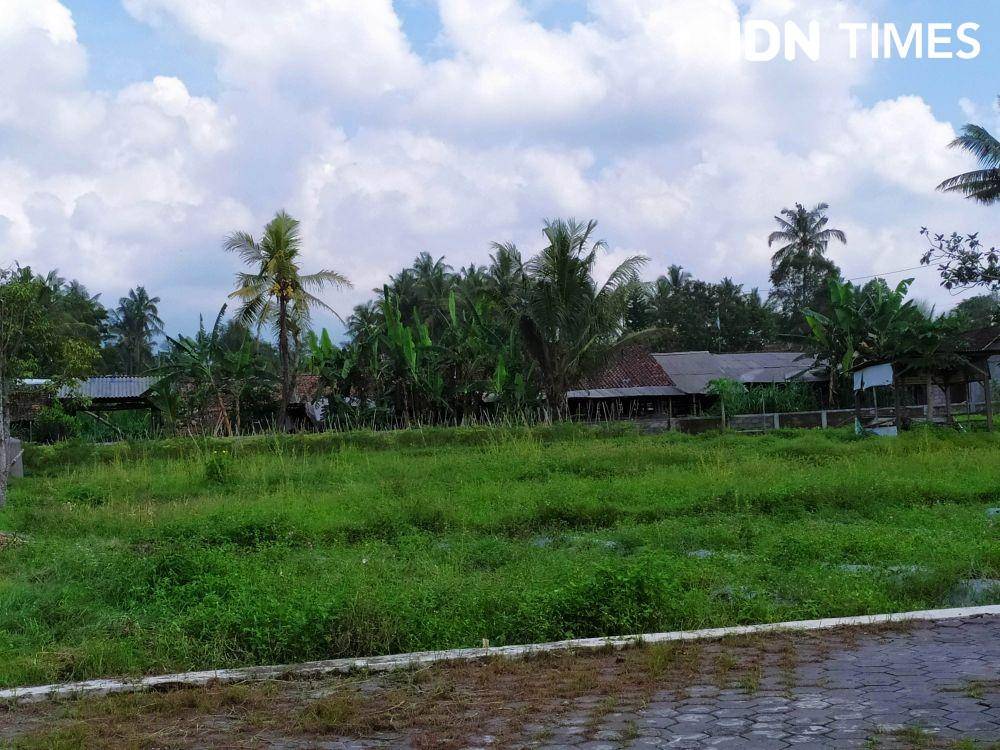 Lahan pertanian yang ada di Kabupaten Sleman. IDN Times/Siti Umaiyah